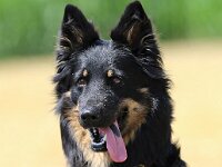 olinaWhatsApp Bild 2025-07-24 um 19.15.58 829c603b  Bes.: Liliana und Werner Frank