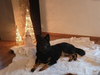 Olina  Bes.: Liliana und Werner Frank