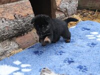 Onyx