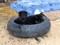 Onyx und O'Chula