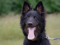 Onyx  es.: Karin Stadlin und Goofy Windler