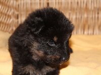 Onyx