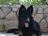 Onyx  es.: Karin Stadlin und Goofy Windler