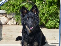 Onyx  es.: Karin Stadlin und Goofy Windler
