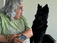 Chef, wir müssen reden!  Bes.: Karin Stadlin und Goofy Windler
