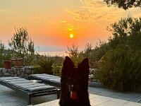 Onyx  Bes.: Karin Stadlin und Goofy Windler