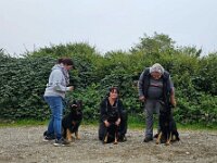 Ankörung  Tatjana Walter mit Kratzmatt Kronos Oreo (Onyx's Cousin), Moni Müller mit Caillea Aurinko(Onyx's Mutter) und Goofy Windler mit Onyx von Maiara Chayenne