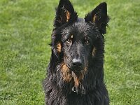 Onyx  Bes.: Karin Stadlin und Goofy Windler