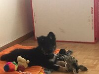 Emma  Bes.: Brigitte und Röbi Kahofer