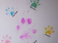 Pao Yuko  fast die ganze Hundefamilie - der Papa wohnt in Vroutek CZ