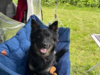 Peaches  Bes.: Yvi Schulze