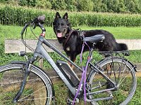 Peaches  Bes.: Yvi Schulze