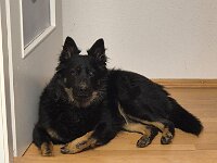 Peaches  Bes.: Yvi Schulze