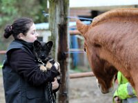 Pharos  7 Wochen alt, Prägung auf dem Bauernhof