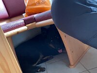 Pharos  Bes.: Laura Val