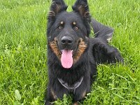 Pharos  Bes.: Laura Val