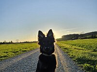 Milow  Bes.: Michelle und Dominik Reutimann