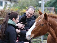 Philou  7 Wochen alt, Prägung auf dem Bauernhof