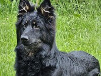 Milow  Bes.: Michelle und Dominik Reutimann