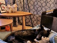 Milow  Bes.: Michelle und Dominik Reutimann