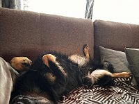 Milow  Bes.: Michelle und Dominik Reutimann