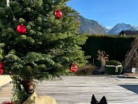 Q'Raven  Bes.: Caroline Bronnenmayer