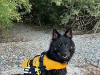 Raven  Wasser ist toll - aber nur bis zum Bauch!