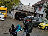 Spaziergang mit Schonung der Welpengelenke  Bes.: Gabi Frei