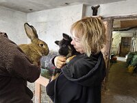 7,5 Wochen alt  Besuch auf dem Bauernhof