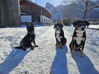 Qiu und ihre Freunde