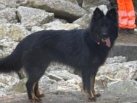 Qiu-Quana  Bes.: Catherine Perren