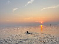 Qiu-Quana  Bes.: Catherine Perren