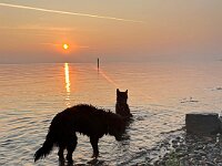 Qiu und Gitan  Bes.: Catherine Perren