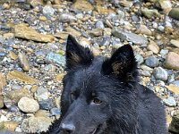 Qiu-Quana  Bes.: Catherine Perren