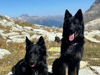 Gitan und Qiu  Bes.: Catherine Perren