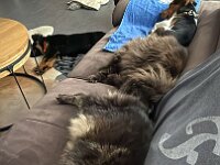 das Sofa ist zu klein!!!  Bes.: Karin Bieri