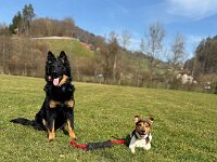 Quan und Fynn  Bes.: Karin Bieri