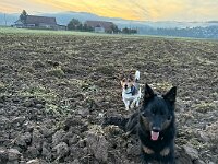 Fynn und Quan  Bes.: Karin Bieri