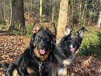 Rascal und Lilly  Bes.: Britta Flauger