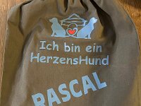 Ein Geschenk von der Hundepension