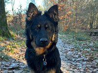 Rascal  Bes.: Britta Flauger