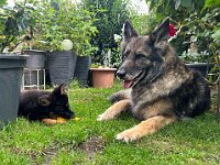 Rascal und Lilly  Bes.: Britta Flauger