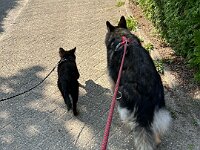 Rascal und Lilly  Bes.: Britta Flauger