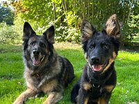 Lilly und Rascal  Bes.: Britta Flauger