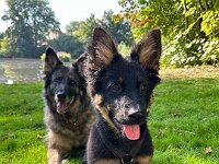 Lilly und Rascal  Bes.: Britta Flauger