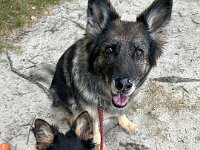 Rascal und Lilly  Bes.: Britta Flauger