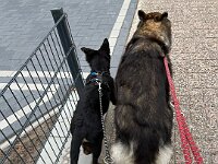 Rascal und Lilly  Bes.: Britta Flauger