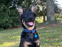 Rascal  Bes.: Britta Flauger