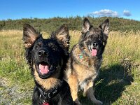 Rascal und Lilly  Bes.: Britta Flauger