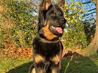 Rascal  Bes.: Britta Flauger
